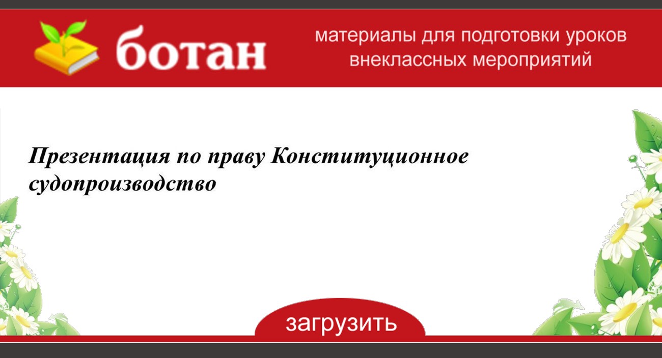 Обществознание 10 класс конституционное судопроизводство презентация