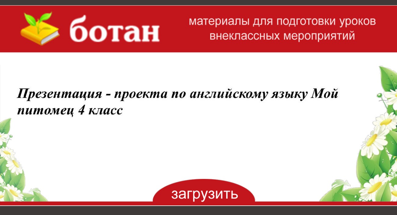 Проект мой питомец 4 класс английский язык