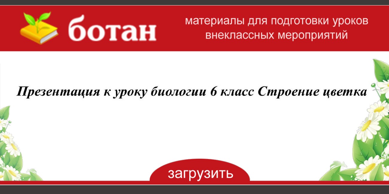 Презентация по биологии 6 класс строение цветка