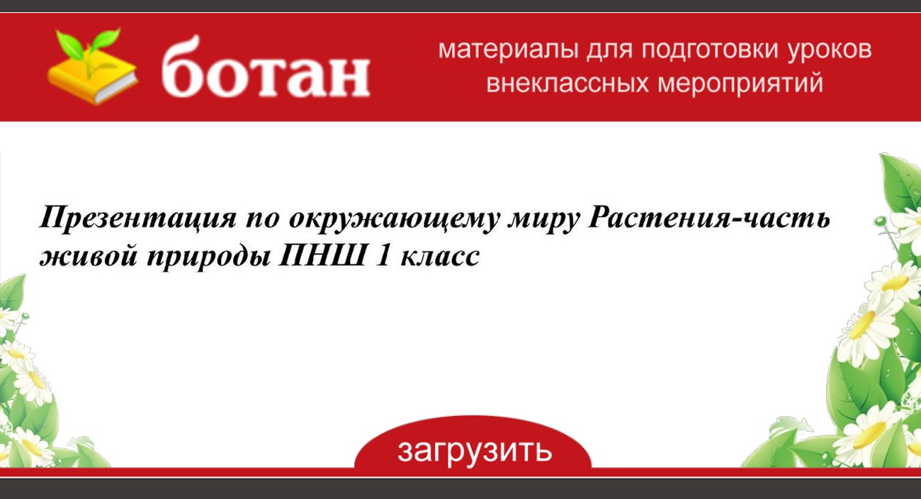 Лето пришло 1 класс пнш презентация окружающий мир