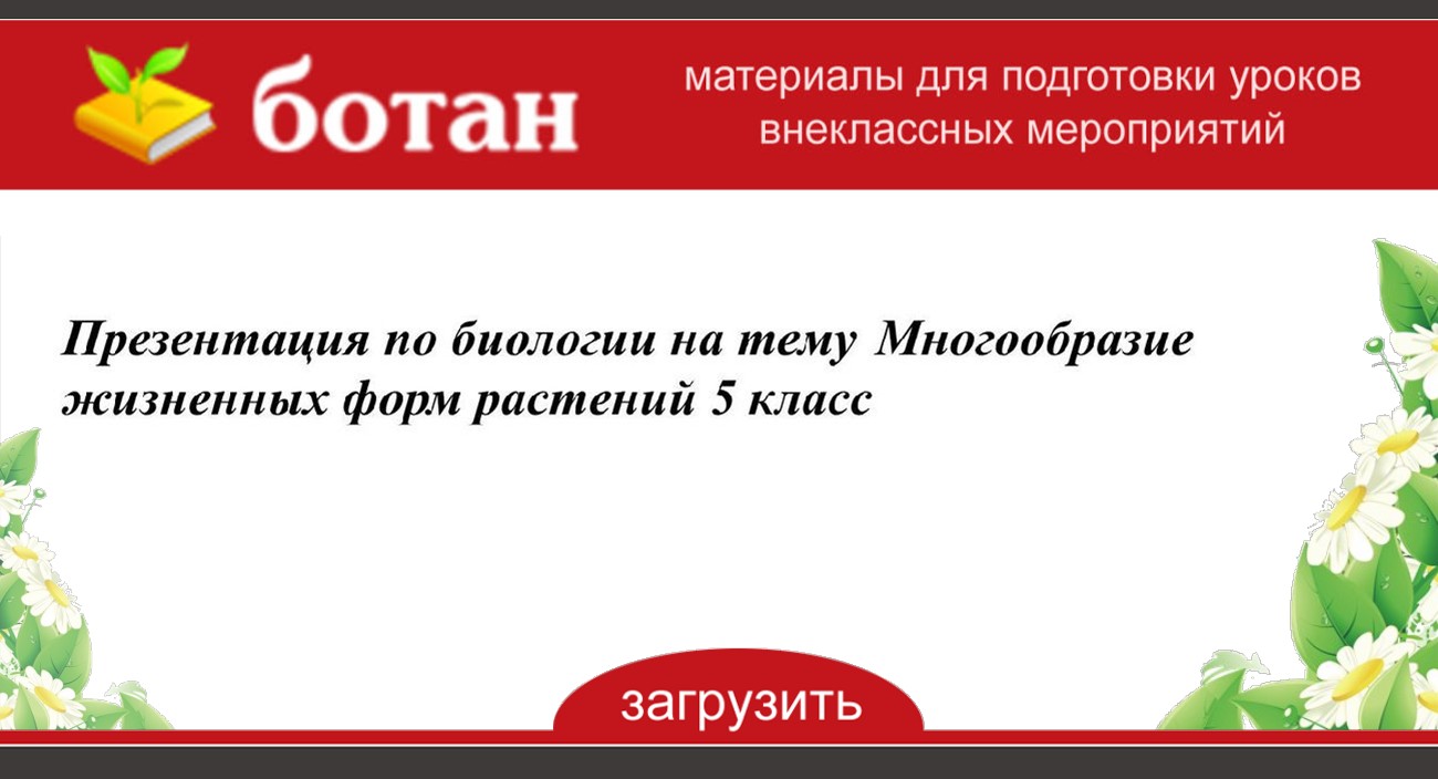 Многообразие жизненных форм растений 6 класс биология презентация