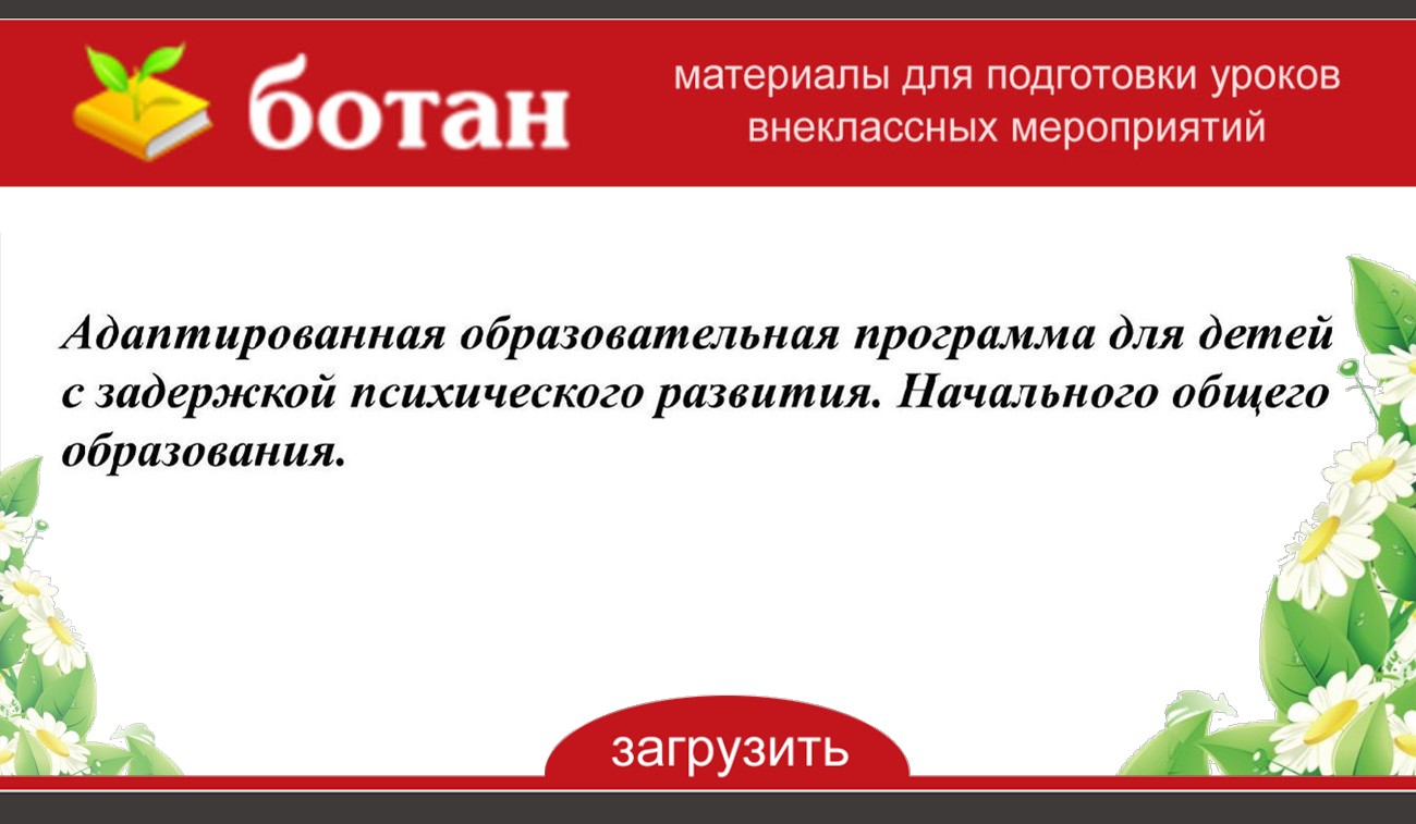 Адаптированная образовательная программа зпр