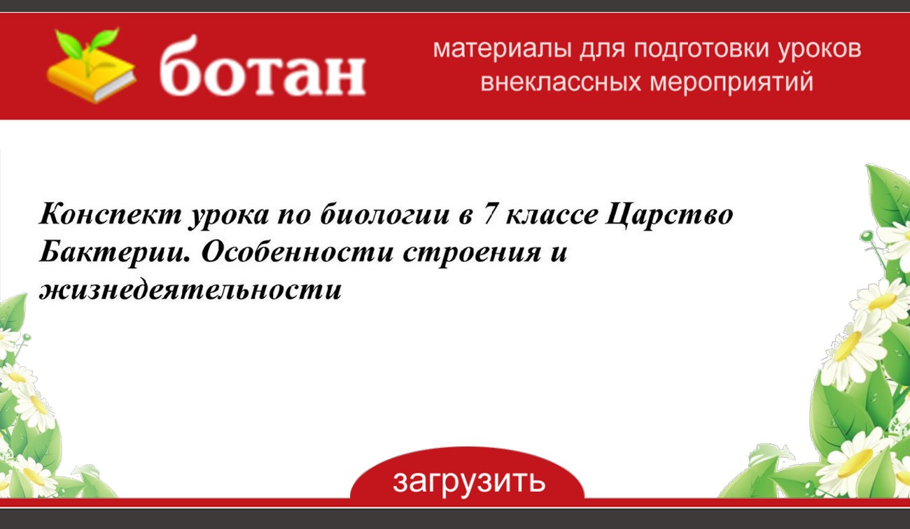 Тест по биологии 7 класс царство бактерии. Тест по биологии 7 класс царство бактерии
