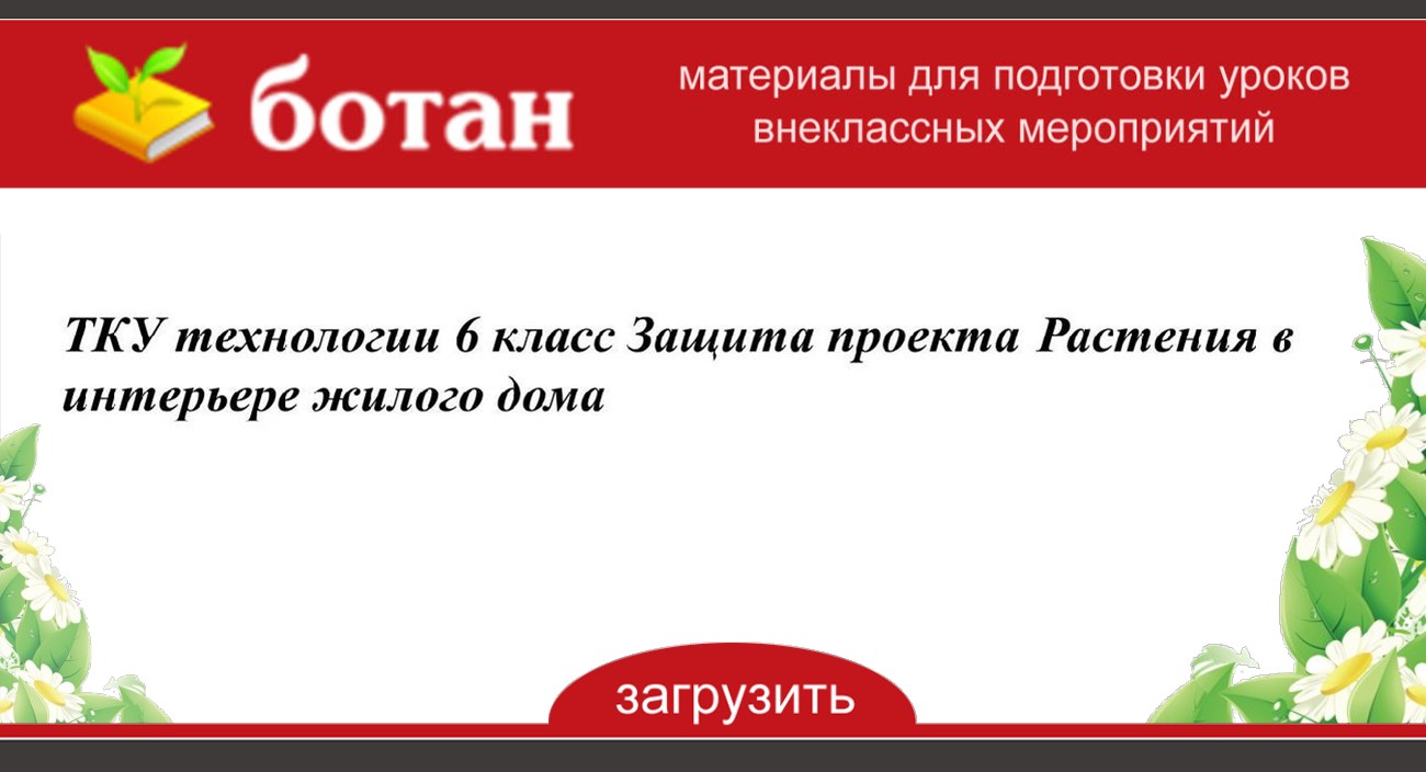 Проект по технологии 6 класс для девочек про растение