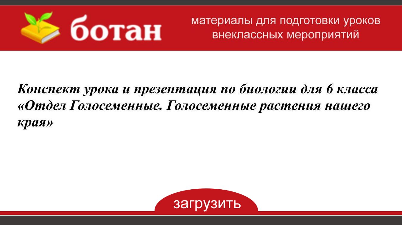 Голосеменные презентация 6 класс биология