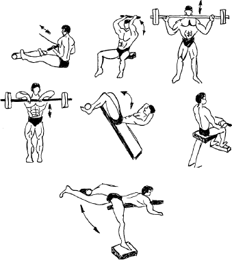 Атлетическая гимнастика как вид спорта