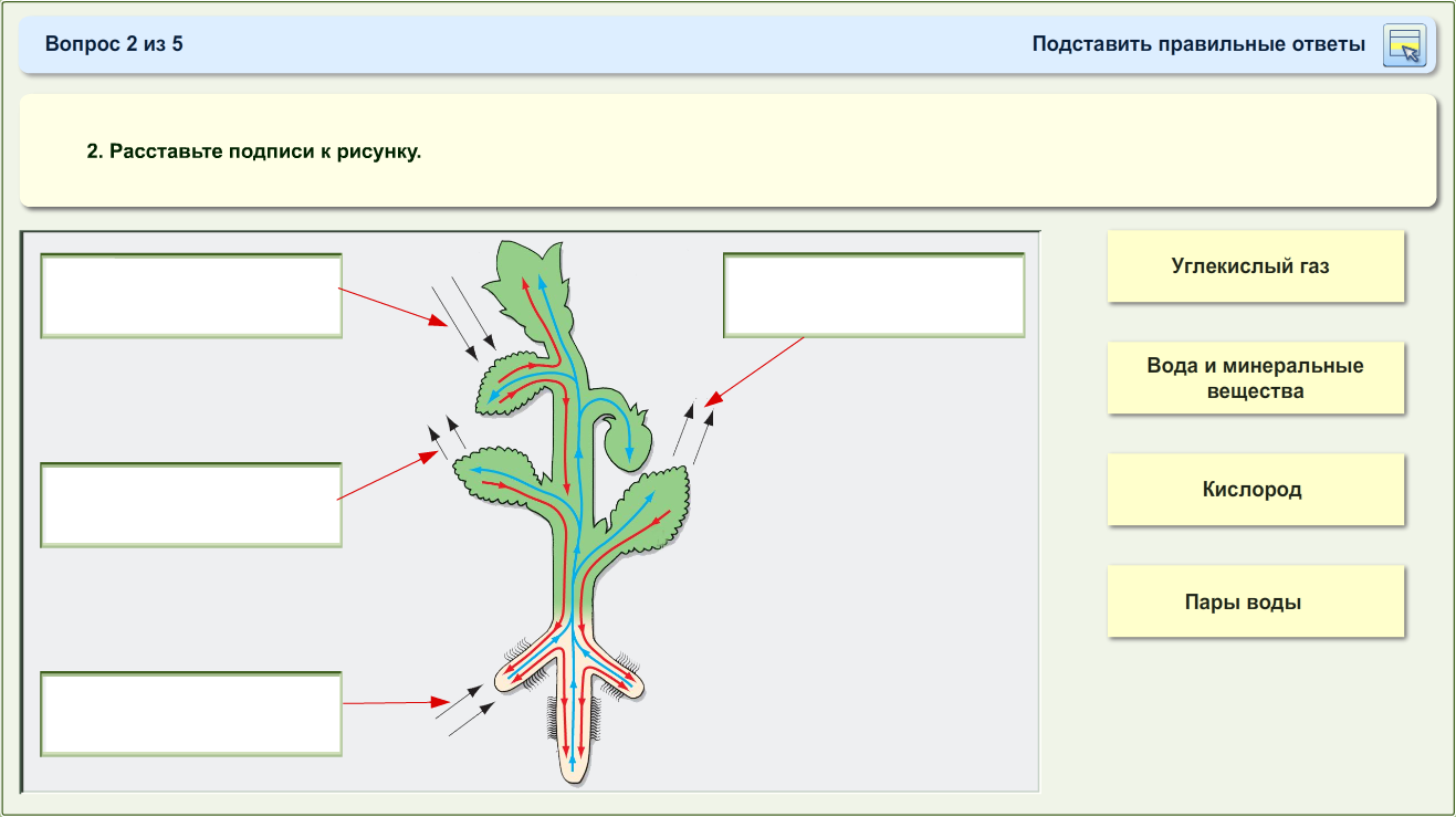 Технологическая карта урока по ФГОС. Организм - единое целое. 6 класс