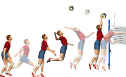 Дифференцированный подход на уроках волейбола с применением карточек в 5 классе
