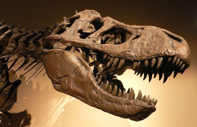 Исследовательская работа Почему исчезли динозавры