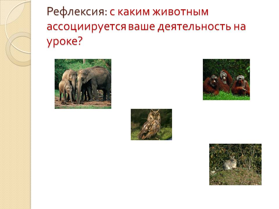 Открытый урок по казахскому языку на тему Хайуанаттар бағы (4 класс)