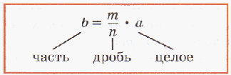 5 класс Задачи на дроби (памятка ученику)