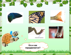 Конспект урока по окружающему миру Как живут животные (1 класс)