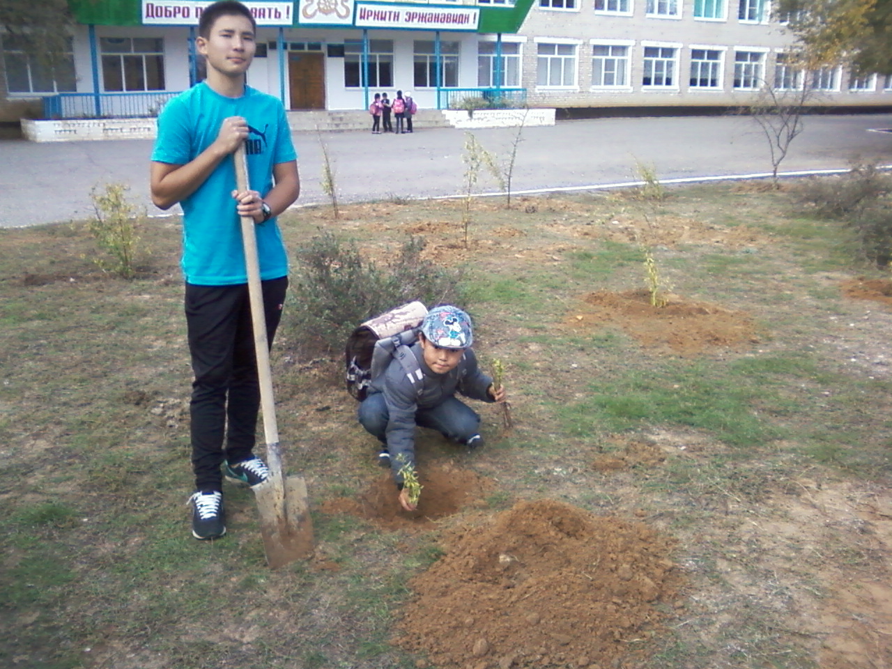Фотографии Акция Посади дерево