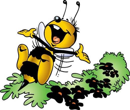 Программа оздоровительной площадки Пчёлка.