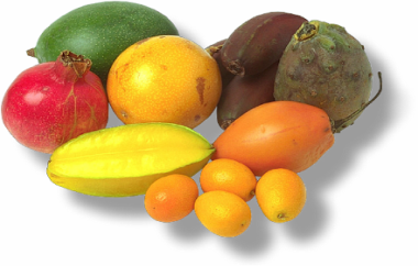 Наглядно-методическое пособие по конструированию Овощи и фрукты