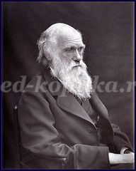 Тема: «Развитие эволюционного учения Ч. Дарвина».