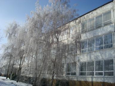 Интегрированный урок ИЗО и музыки Рисование зимних деревьев