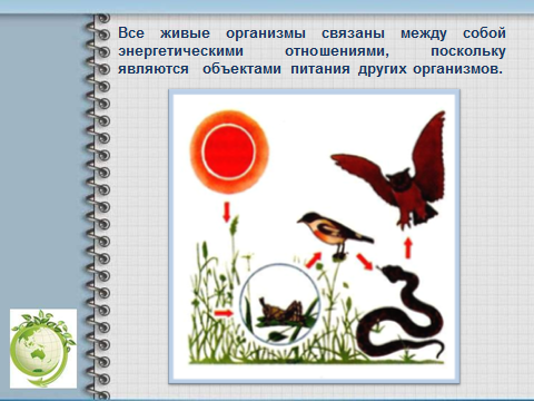 Разработка урока по биологии на тему Как животные общаются между собой (5 класс)
