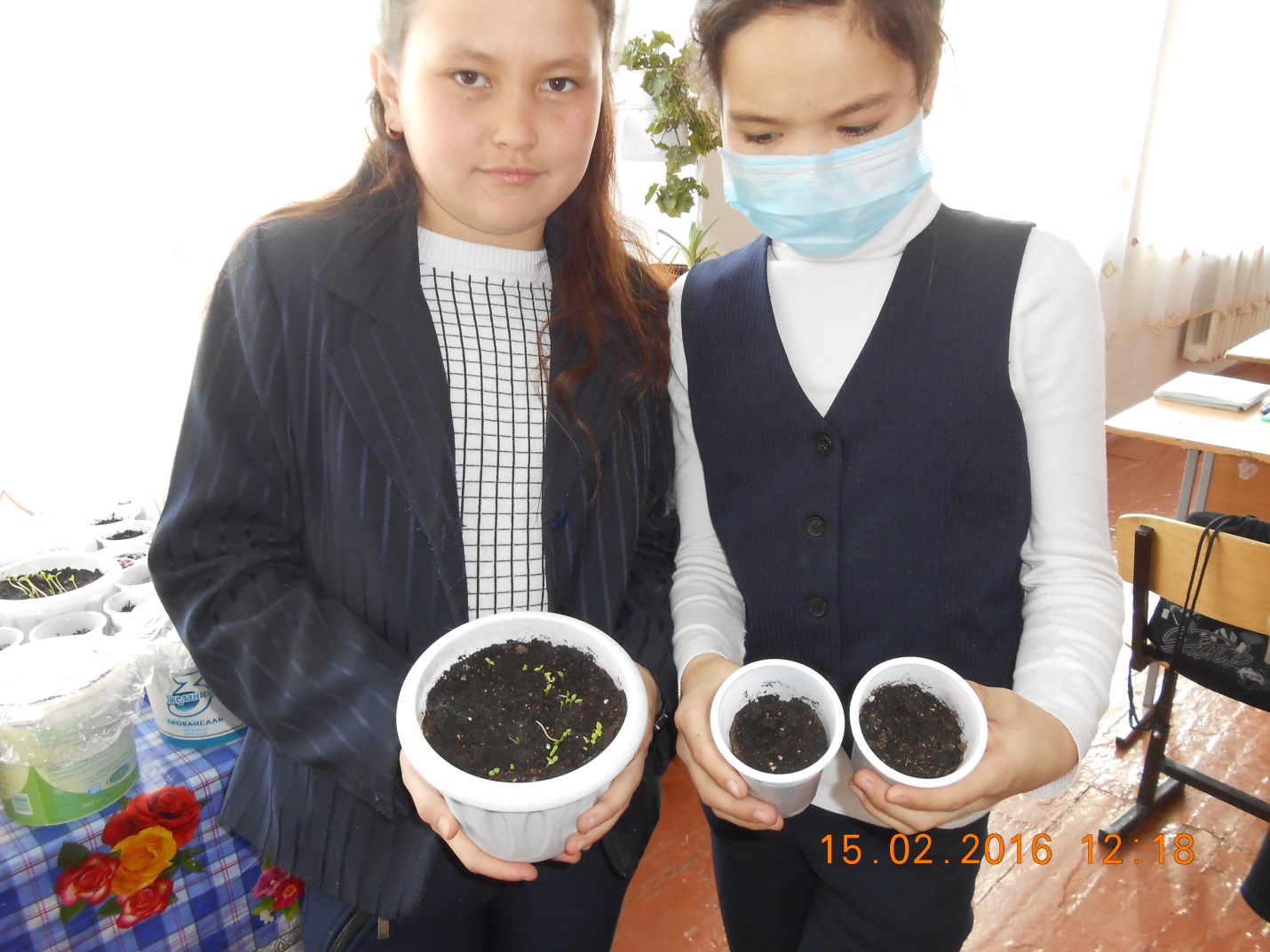 Творческий проект по экологическому воспитанию школьников Выращивание цветочной рассады для пришкольного участка