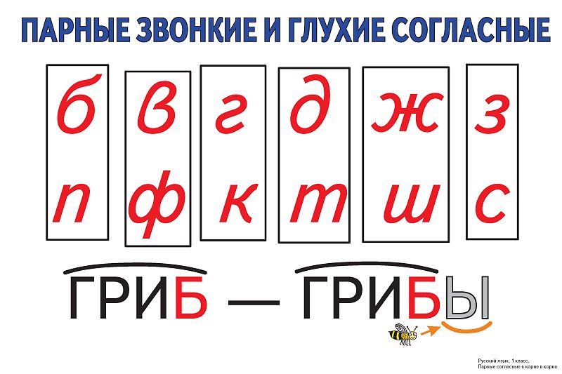 Урок русского языка в 3 классе Правописание слов с парными согласными в корне