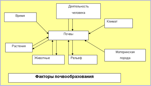 Разработка комбинированного урока с постановкой учебной задачи географии в 8 классе по ФГОС по теме Типы и свойства почв России(часть 2)