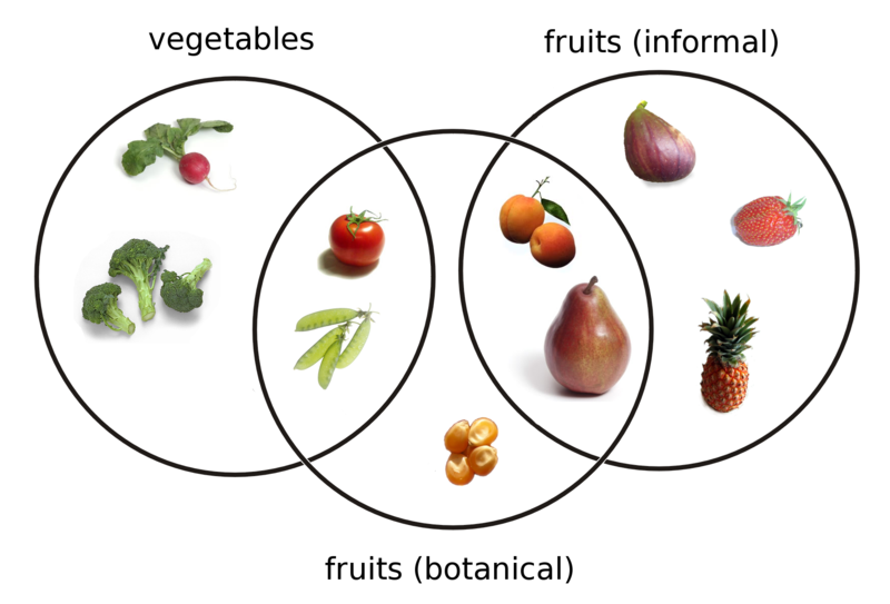 Конспект урока по билингвальной биологии на тему Цветок и структура Плода