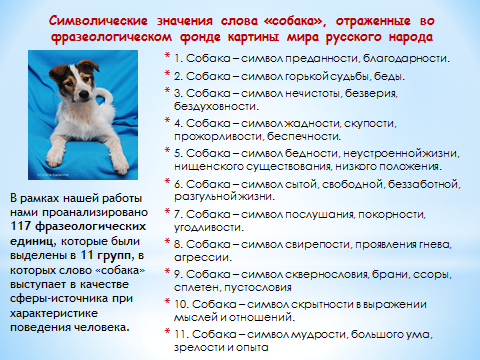 Исследовательская работа на тему Образ собаки в русской языковой картине мира. Доклад