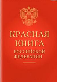 Конспект НОД по ознакомлению с окружающим миром Красная книга