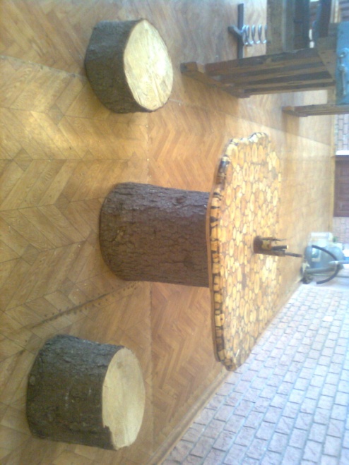 Творческий проект: Журнальный столик из спилов дерева и смол