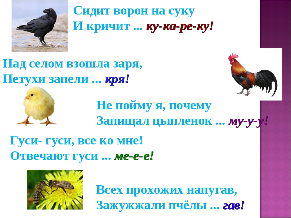 Проект по Русскому языку И в шутку и всерьёз