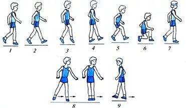 Контрольная работа на тему Ходьба. Техника различных видов ходьбы. Методика обучения различным видам ходьбы детей разных возрастных групп
