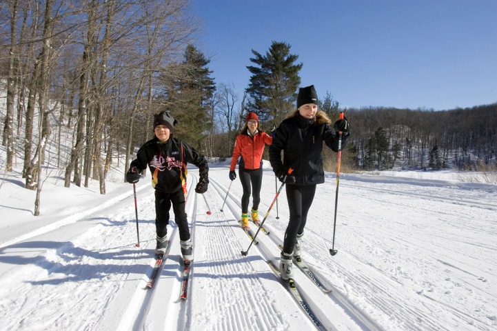 Методика обучения лыжных ходов в 5 классе