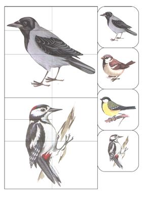 Урок по предмету мир вокруг на тему Зимующие птицы (коррекционная школа, 4 класс)