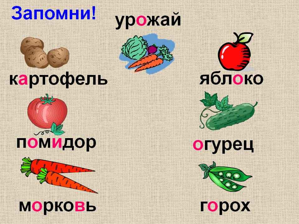 Проектная работа по по русскому языку Словарные слова. 3 класс