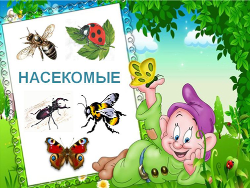 Конспект основной образовательной деятельности по познавательному развитию для детей старшей группы на тему Этот удивительный мир насекомых