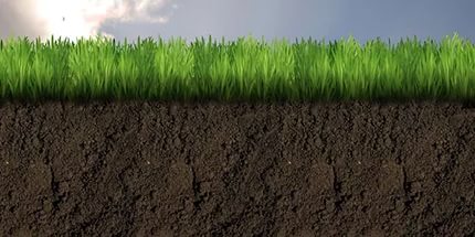 Конспект урока на тему Почва
