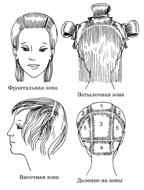 Теоретический материал по теме Стрижка волос. Основные понятия стрижки