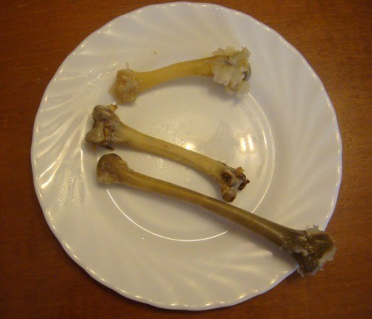 Кальций в куриных костях. Декальцинированная кость. Опыт декальцинированная кость.