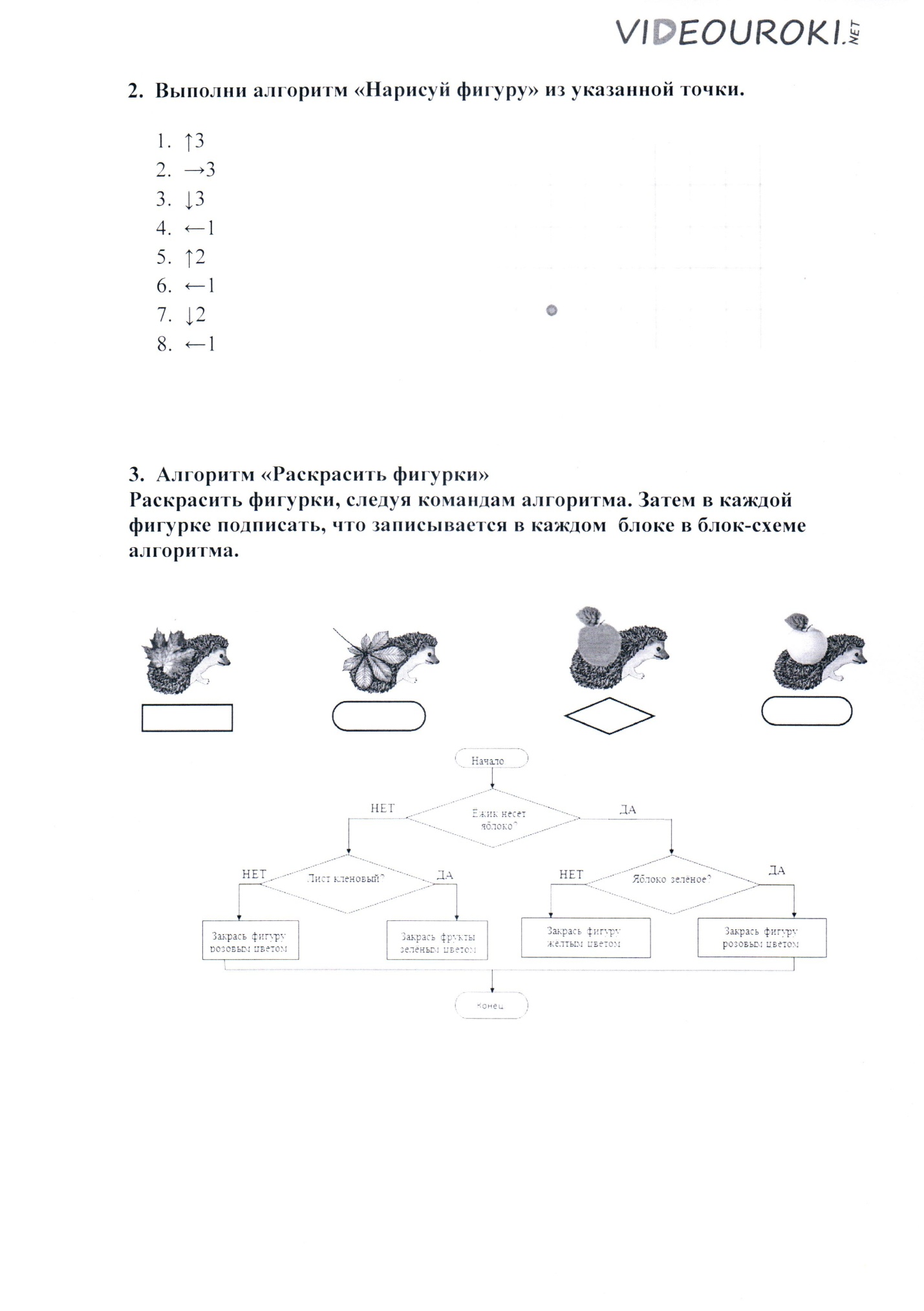 Рабочая программа Димитриева Светлана 6 класс