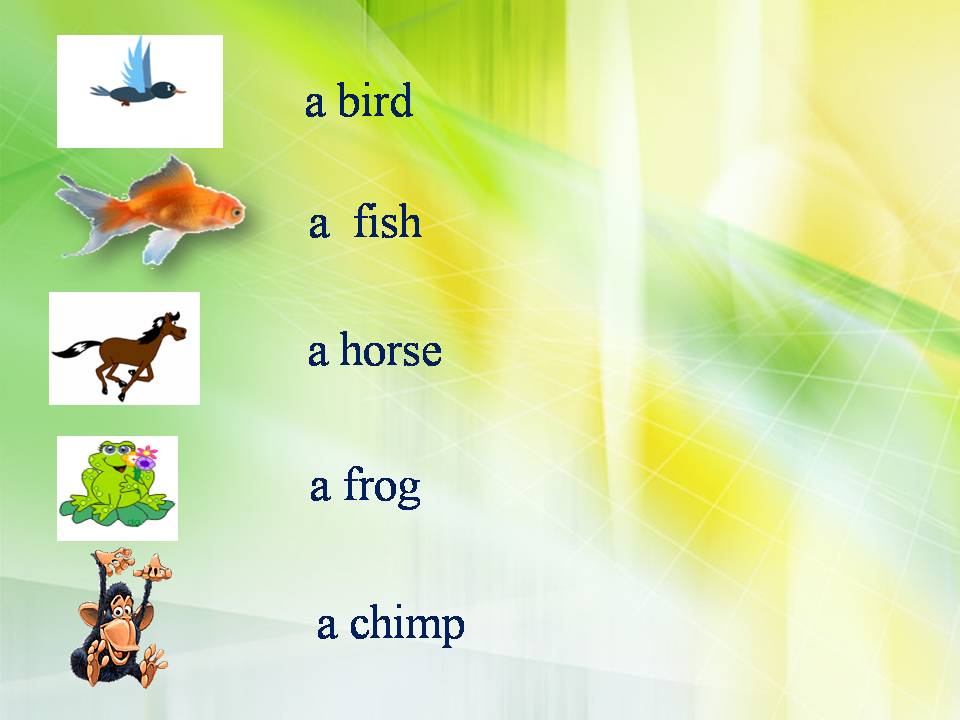 Конспект урока по английскому языку на тему: Я люблю животных