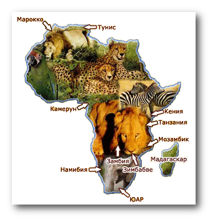 Интегрированный урок по информатики и географии на тему Африка