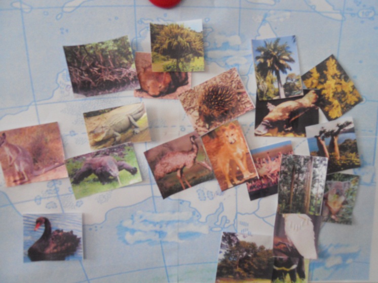 Урок по географии в 7 классе Путешествие по Австралии