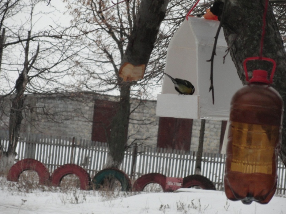 Разработка внеклассного мероприятия Покормите птиц зимой
