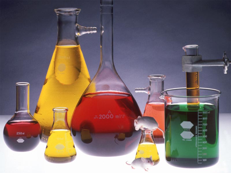 Химия. Первоначальные химические понятия. Дидактический материал (8 класс)