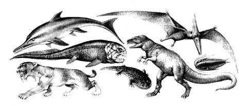 На рисунке изображен майаспондил вымершая рептилия. Вымершие пресмыкающиеся биология 7 класс. Рисунок любого вымершего пресмыкающегося. Вымершие дневние пресмыкающиеся" рисунки карандашом.