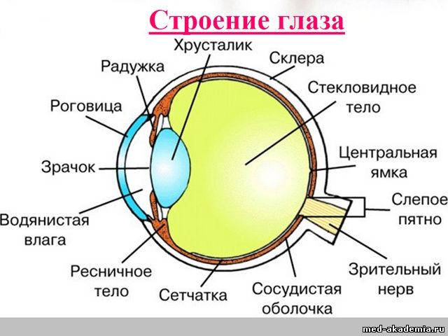 Методическая разработка Берегите зрение