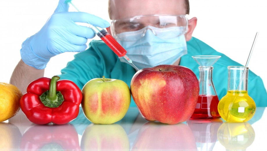Научно- исследовательская работа по биологии ученицы 8 класса по теме: Химические добавки в пищевых продуктах