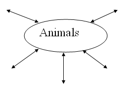 Урок по теме животные для 5 класса