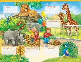 Конспект непосредственно-образовательной деятельности Зоопарк
