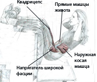 Программа тренажерного зала «Скульптор тела»